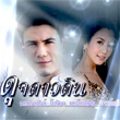 Thai TV serie : Duj Dao Din [ DVD ] 