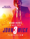 John Wick: Chapter 3 - Parabellum [ DVD ]