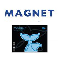 Tay & New : Magnet