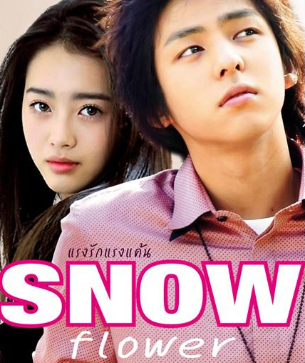 Snow Flower [ DVD ]